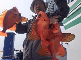 千葉県・大原港/敷嶋丸「底だけが狙いじゃない、大原沖で根魚五目が好気配！」