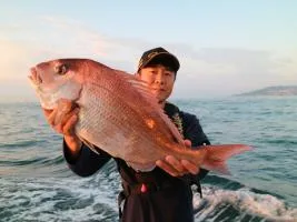 水温が高く好調なスタート！兵庫県・明石海峡のタイカブラ