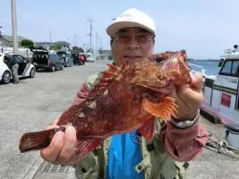 大型当たり前！　千葉県南房・乙浜出船の浅場カサゴ五目