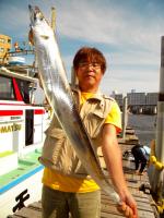 東京湾タチウオ、早くも激浅夏祭り開幕！