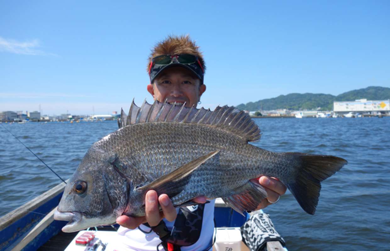 静岡県・清水港のクロダイ釣り！専用竿で始める！ | 釣りビジョン