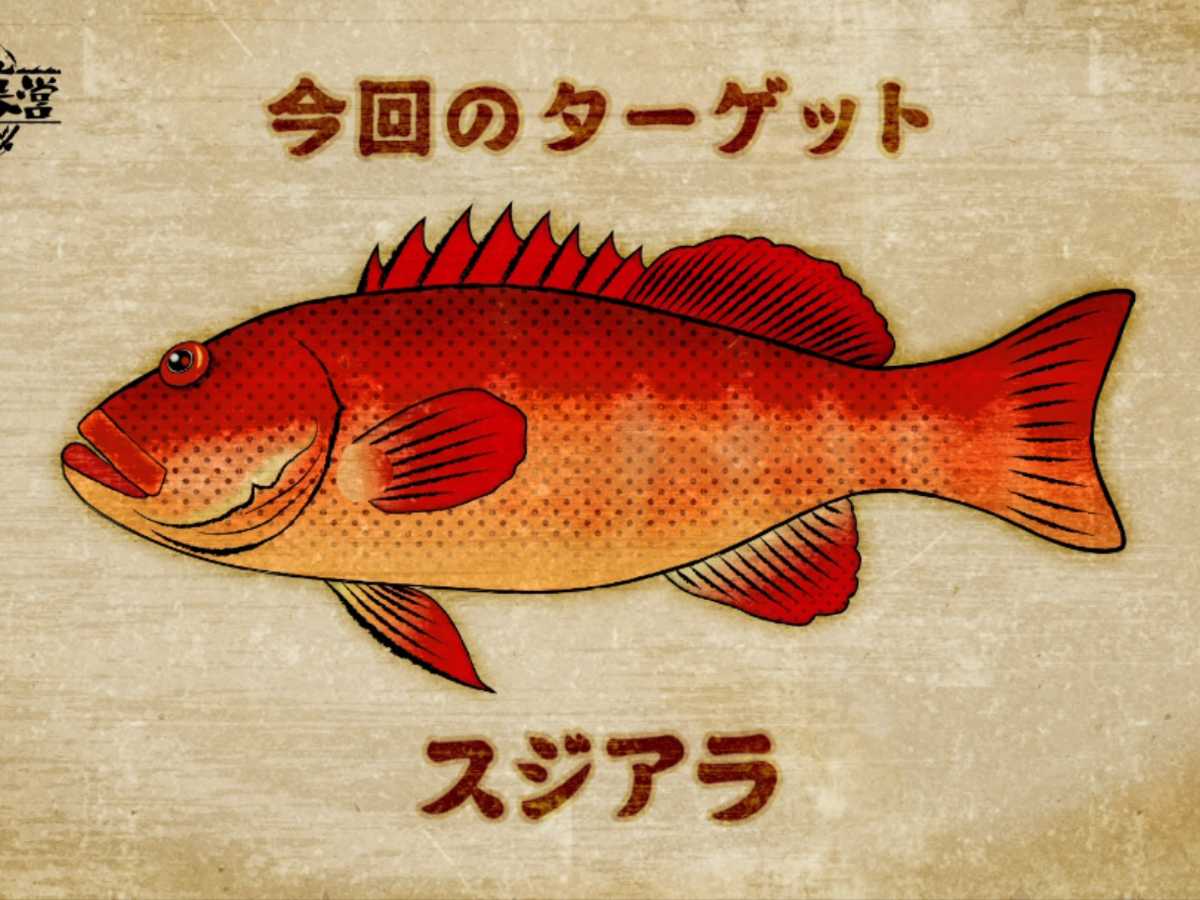 真っ赤な魚】これなーんだ？〝釣れないおじさん〟が釣り上げた高級 