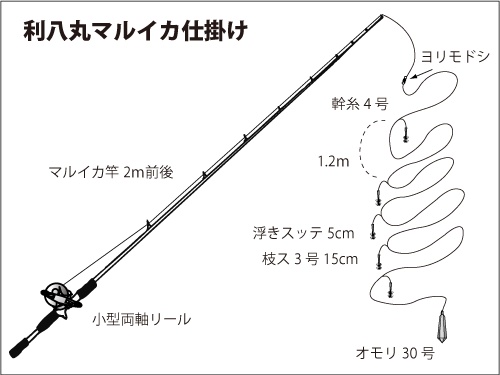 勝山沖のマルイカ 浅場で釣れ出す オフショアマガジン 釣りビジョン