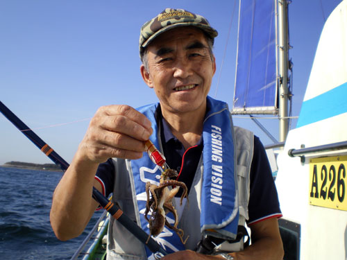 衝撃映像 千葉県富津沖のイイダコ 絶好のスタート オフショアマガジン 釣りビジョン