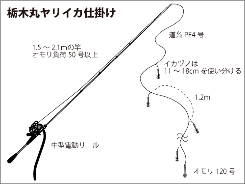 ビギナーでも安心 先着2人限定の イカ釣り教室 開催 オフショアマガジン 釣りビジョン