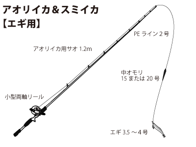 若者にも大人気 船 エギングのイカ釣り オフショアマガジン 釣りビジョン