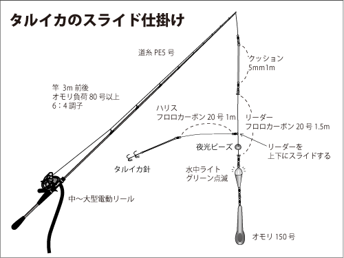 若狭湾のマイカ 巨大タルイカ釣り 釣りビジョン マガジン 釣りビジョン