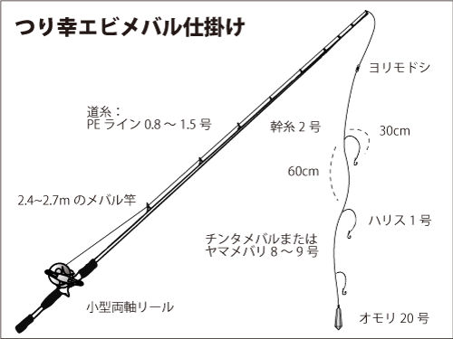 春を告げるメバル 東京湾で好スタート オフショアマガジン 釣りビジョン