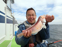 36cm田嶋俊也さん