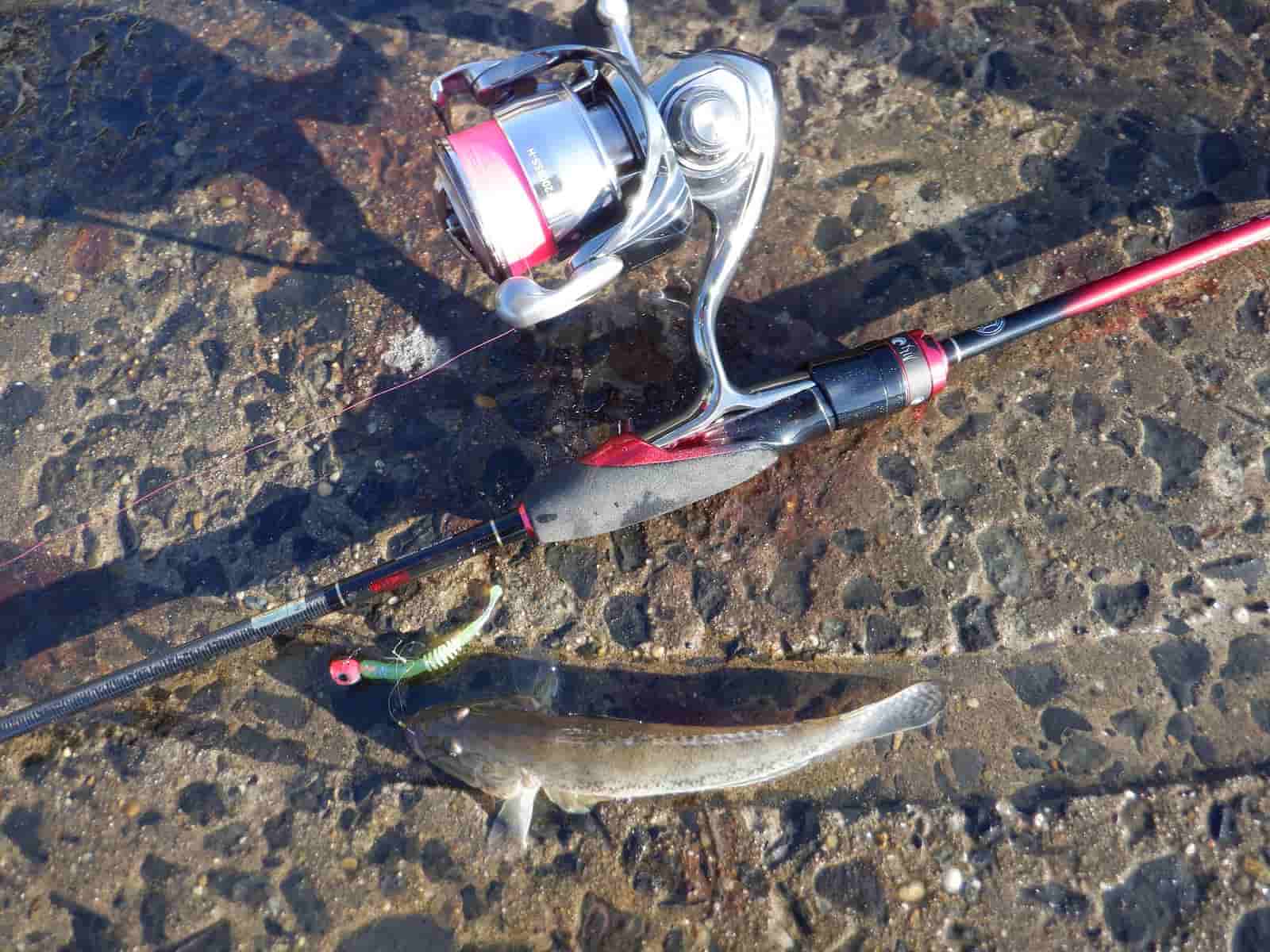 アジング関連雑誌セット アジング入門セット】【今ならアジング用