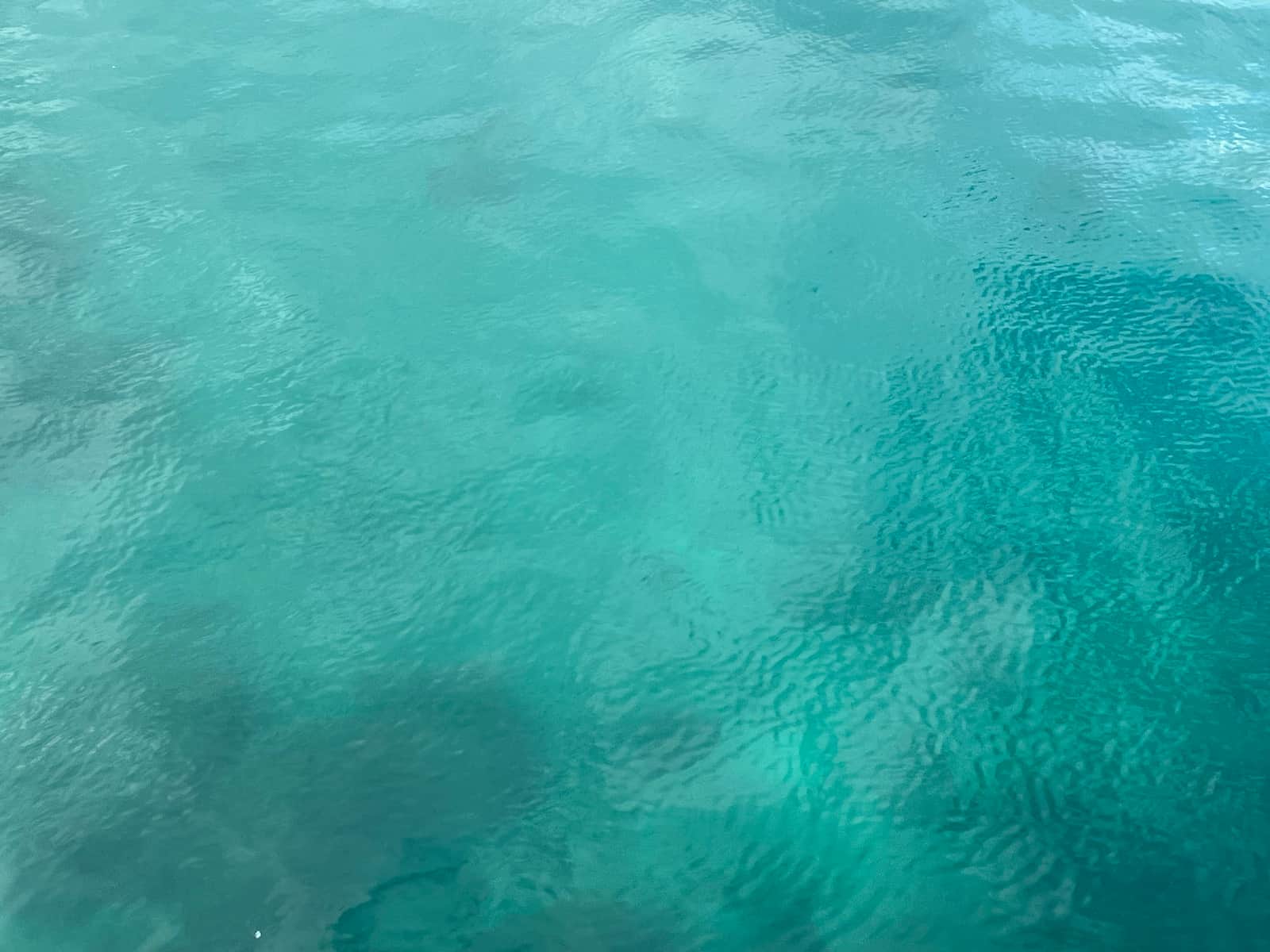 相変わらず沼津の海は透明度が高く美しい　©釣りビジョン