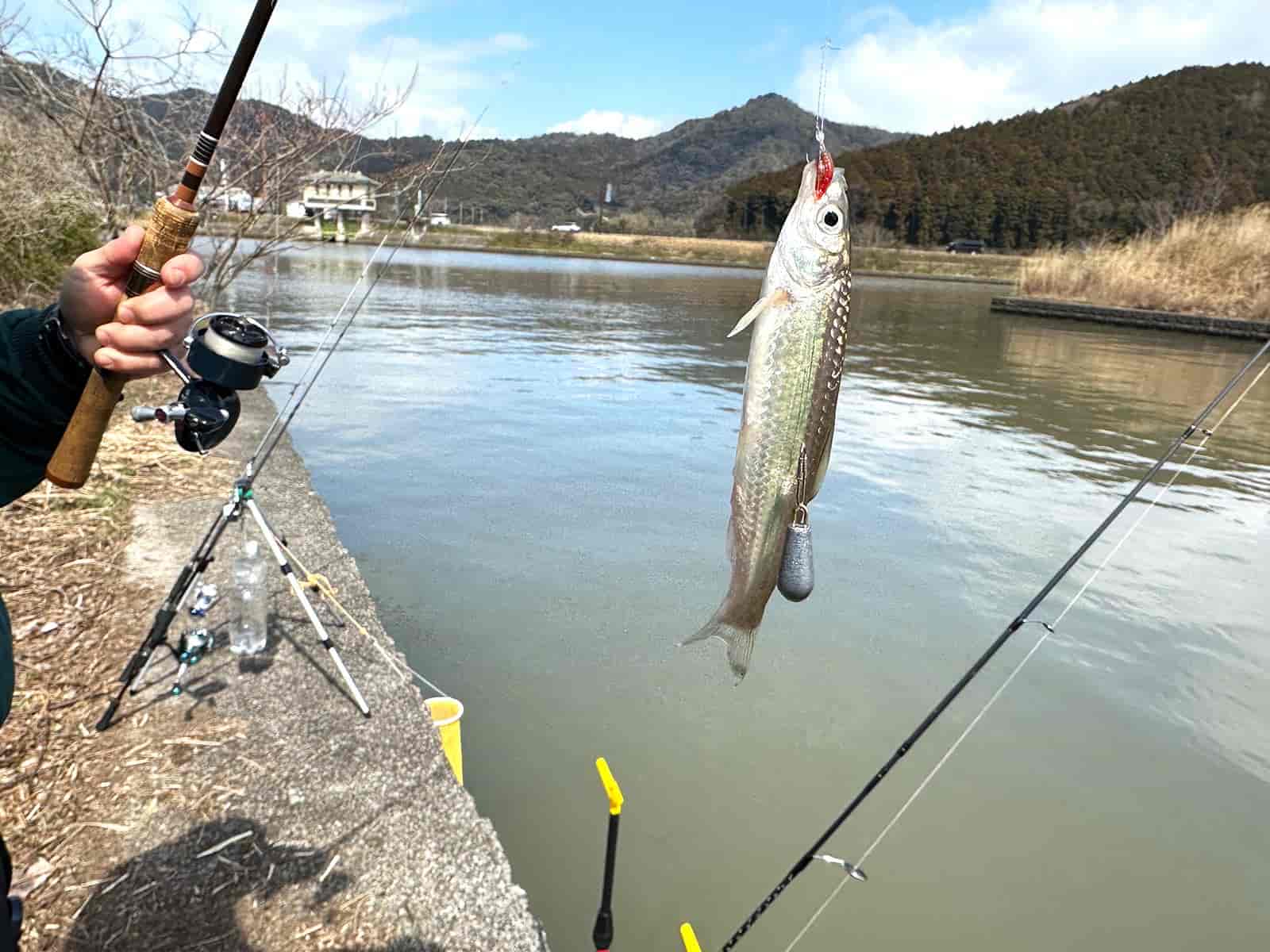 バス釣り引退セット 竿7本 リール4個 ルアー等 【公式通販】