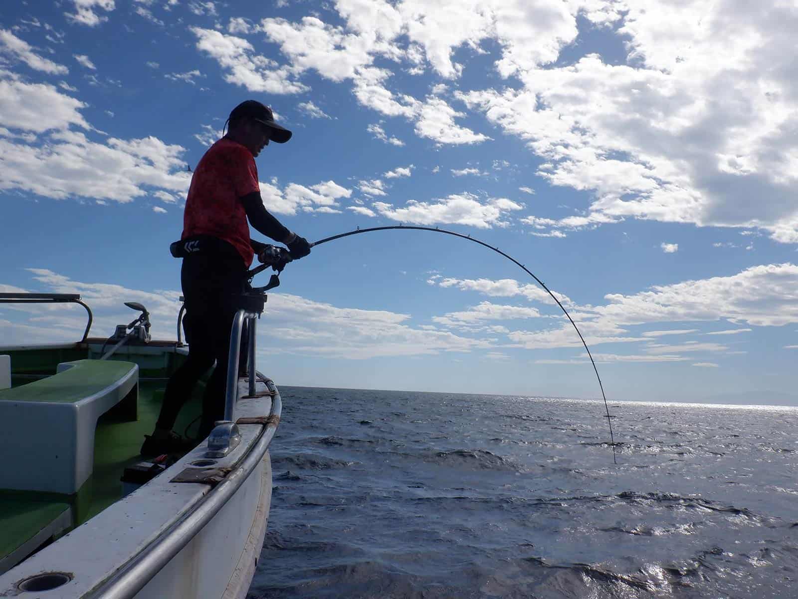 釣り竿船場 船場釣り竿