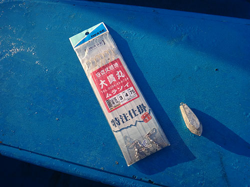 茨城県 日立久慈沖のムラソイ 35cm交じりで好調 釣りビジョン マガジン 釣りビジョン