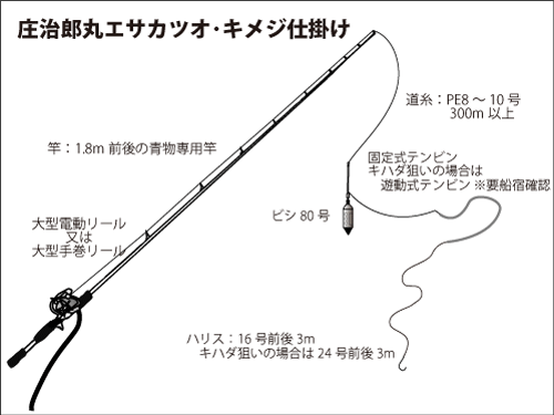 真夏の大博打 相模湾のキハダ カツオ釣り オフショアマガジン 釣りビジョン