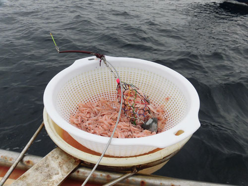サニービシ テッカメン ショベルカゴ デカ当て マグロ釣り ヒラマサ 船 