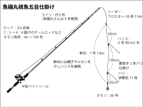 サビキ 泳がせ 落とし込み  船 根魚五目 10点