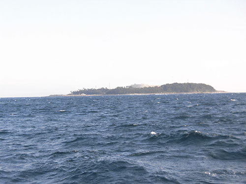 神奈川県 小田原沖のヤリイカ好スタート 釣りビジョン マガジン 釣りビジョン