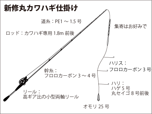 数より型狙い 竹岡沖のカワハギ 釣りビジョン マガジン 釣りビジョン
