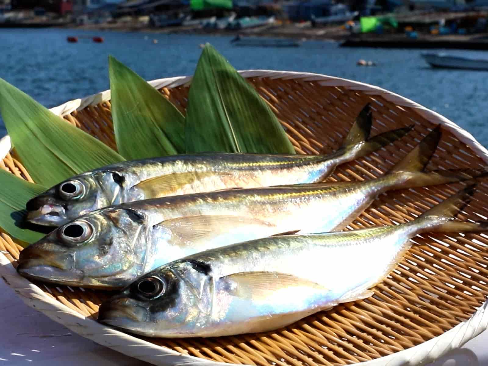 オトコの釣りメシ」待望の書籍化【2025年7月22日発売】（釣りビジョン