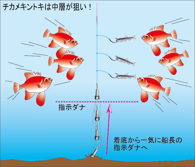 千葉県 大原港 敷嶋丸 底だけが狙いじゃない 大原沖で根魚五目が好気配 オフショアマガジン 釣りビジョン