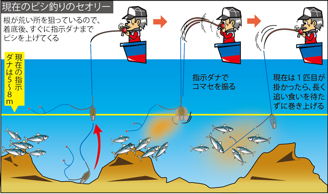 キャプテンズレポート