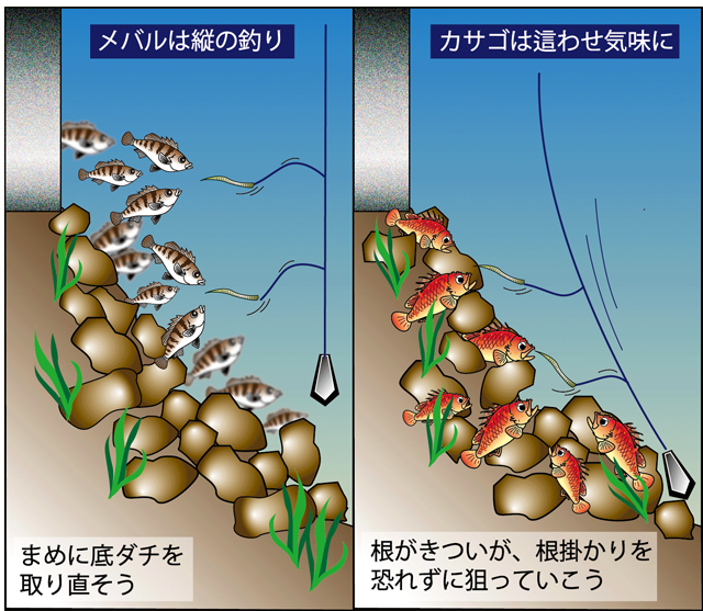 概念図