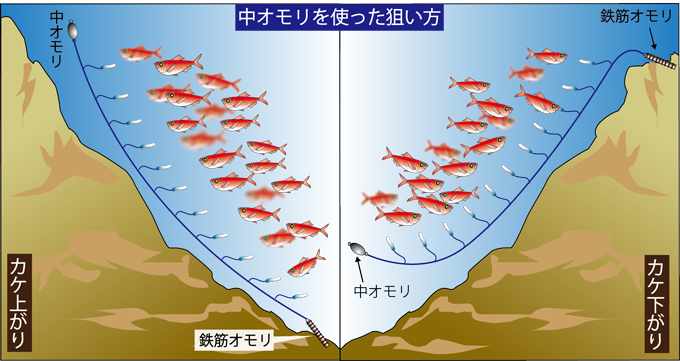 概念図