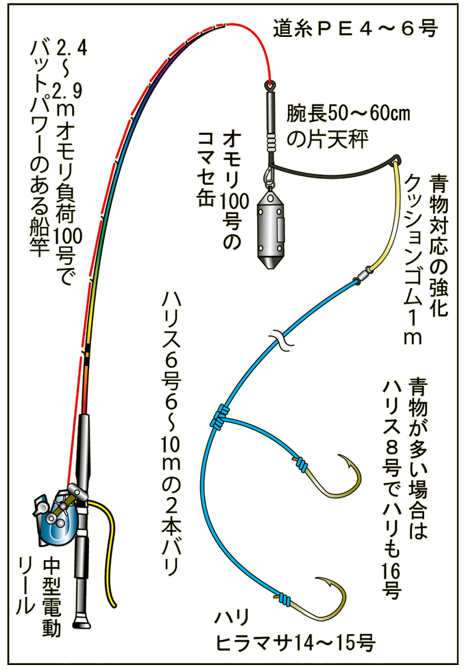 駿河湾 金洲の6月は青物フィーバー オフショアマガジン 釣りビジョン