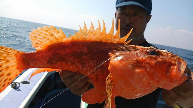 2 級の大型ザクザク 狙える 外房大原沖のオニカサゴ 釣りビジョン マガジン 釣りビジョン