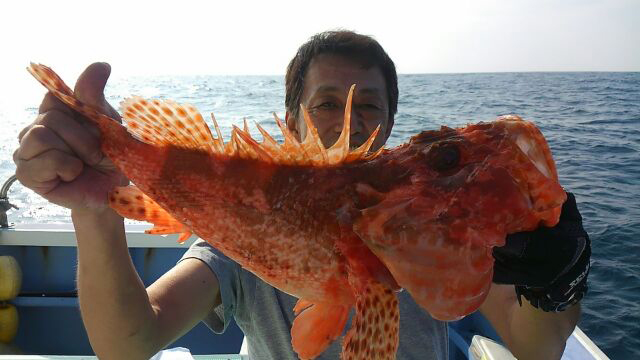 2 級の大型ザクザク 狙える 外房大原沖のオニカサゴ 釣りビジョン マガジン 釣りビジョン