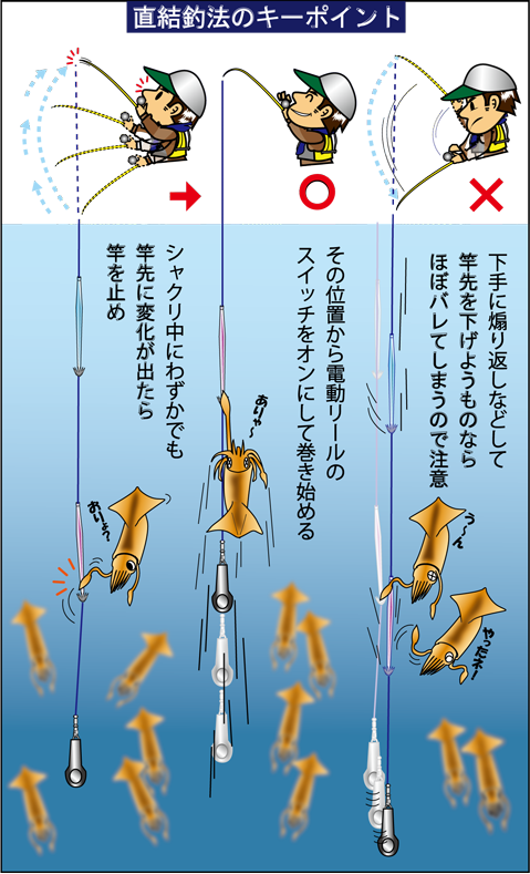 神奈川県 長井沖の 夏スルメイカ を攻略 釣りビジョン マガジン 釣りビジョン