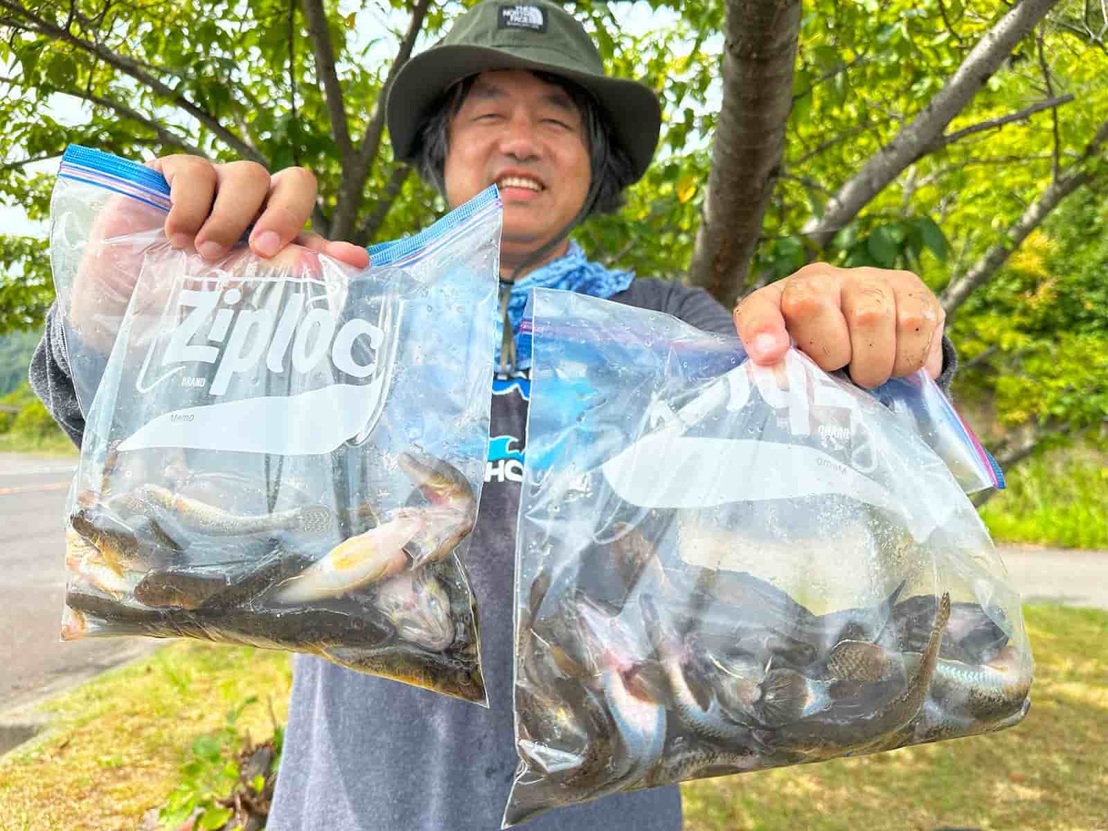 ノック&ヒット！ 3時間で50尾突破するハゼの穴釣り【三方五湖】（釣り 
