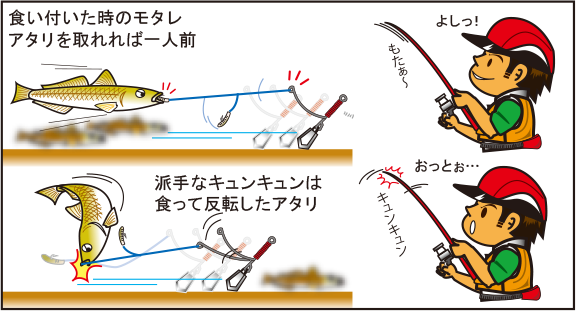 概念図