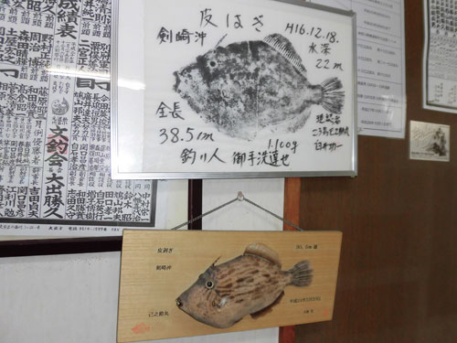 大型カワハギ連発 夏ハギシーズン開幕の剣崎沖 釣りビジョン マガジン 釣りビジョン