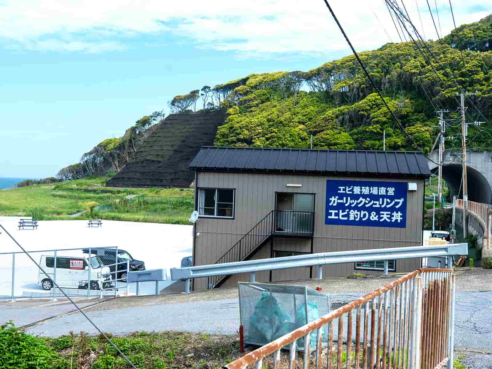 大注目のお手軽エビ釣り！】千葉県富津市金谷に〝エビ釣り堀〟が