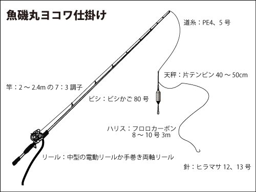 沼津沖で数年ぶりの ヨコワ フィーバー オフショアマガジン 釣りビジョン