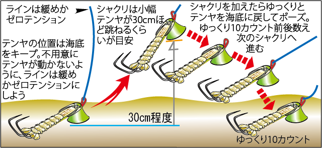 今季は好調 東京湾の風物詩スミイカが大型化 釣りビジョン マガジン 釣りビジョン