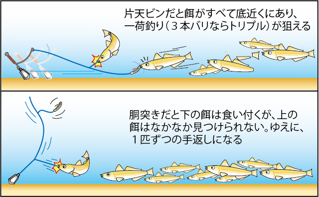 東京湾のシロギスは束釣り長期連発で安泰 オフショアマガジン 釣りビジョン