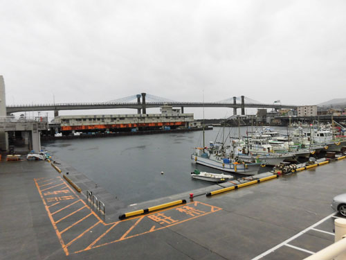 厳寒期の超高級魚オニカサゴが小田原沖で熱い オフショアマガジン 釣りビジョン