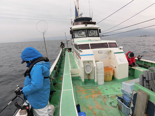 厳寒期の超高級魚オニカサゴが小田原沖で熱い オフショアマガジン 釣りビジョン