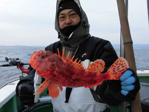 厳寒期の超高級魚オニカサゴが小田原沖で熱い オフショアマガジン 釣りビジョン