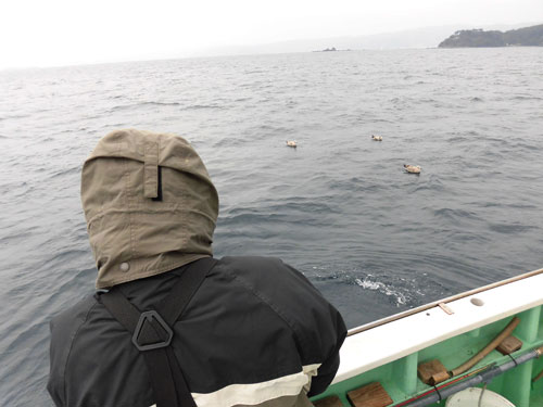 厳寒期の超高級魚オニカサゴが小田原沖で熱い オフショアマガジン 釣りビジョン