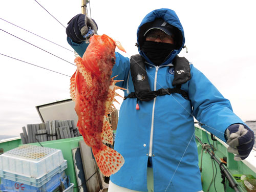 厳寒期の超高級魚オニカサゴが小田原沖で熱い オフショアマガジン 釣りビジョン