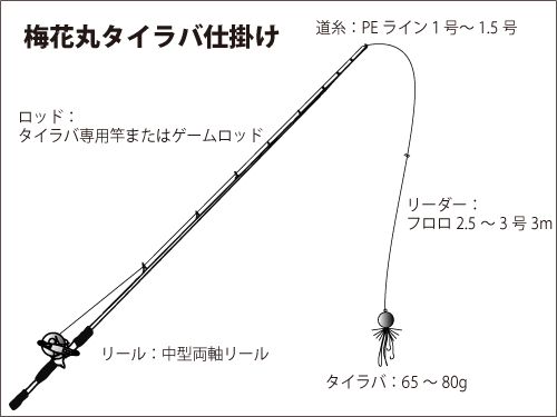 千葉県 飯岡沖 真冬のマダイ釣行 良型揃い 釣りビジョン マガジン 釣りビジョン 千葉県 飯岡沖 真冬のマダイ釣行 良型揃い 釣りビジョン マガジン 釣りビジョン