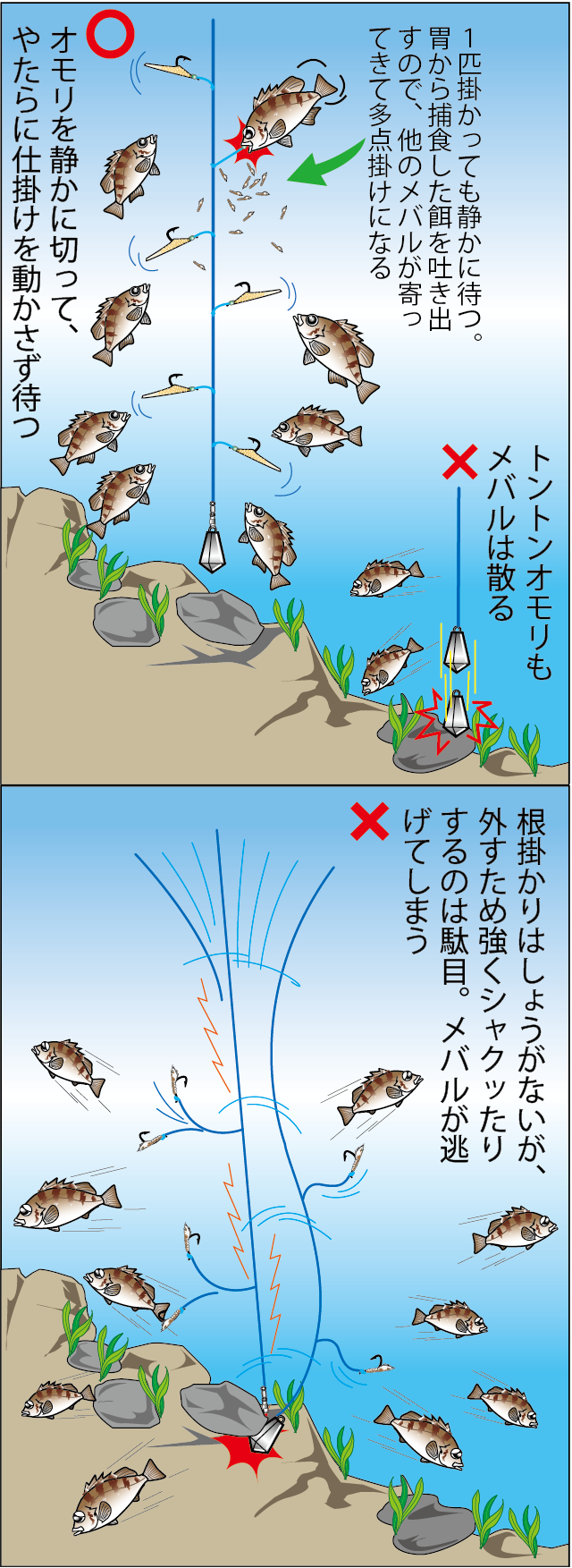 大阪湾半夜のメバル釣り好釣果 竿頭は50 60匹 釣りビジョン マガジン 釣りビジョン