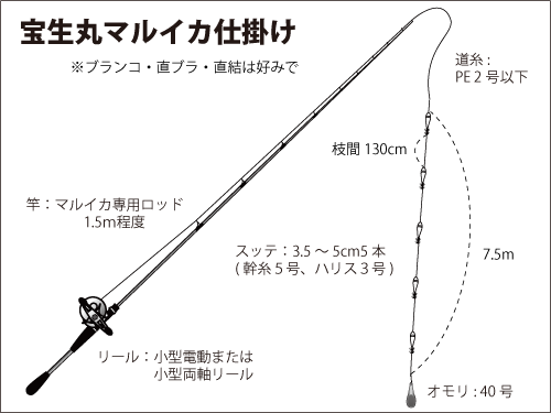 千葉県 勝山沖 マルイカがいよいよ開幕 オフショアマガジン 釣りビジョン