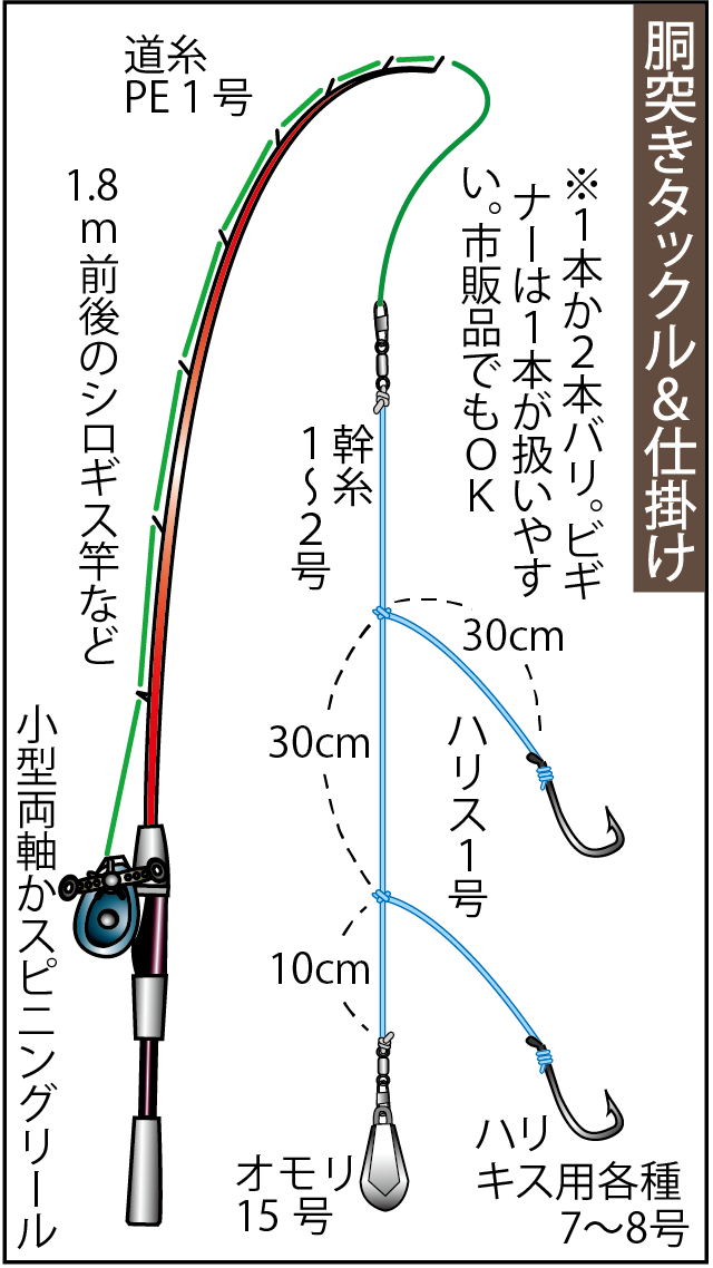 釣り コツ キス