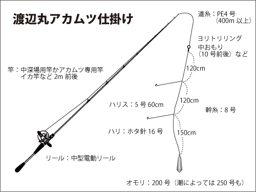 千葉県 南房総で高級魚 アカムツにチャレンジ オフショアマガジン 釣りビジョン