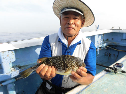 常磐スタイル カットウ釣り 大型も交じる大洗沖ショウサイフグ 釣りビジョン マガジン 釣りビジョン